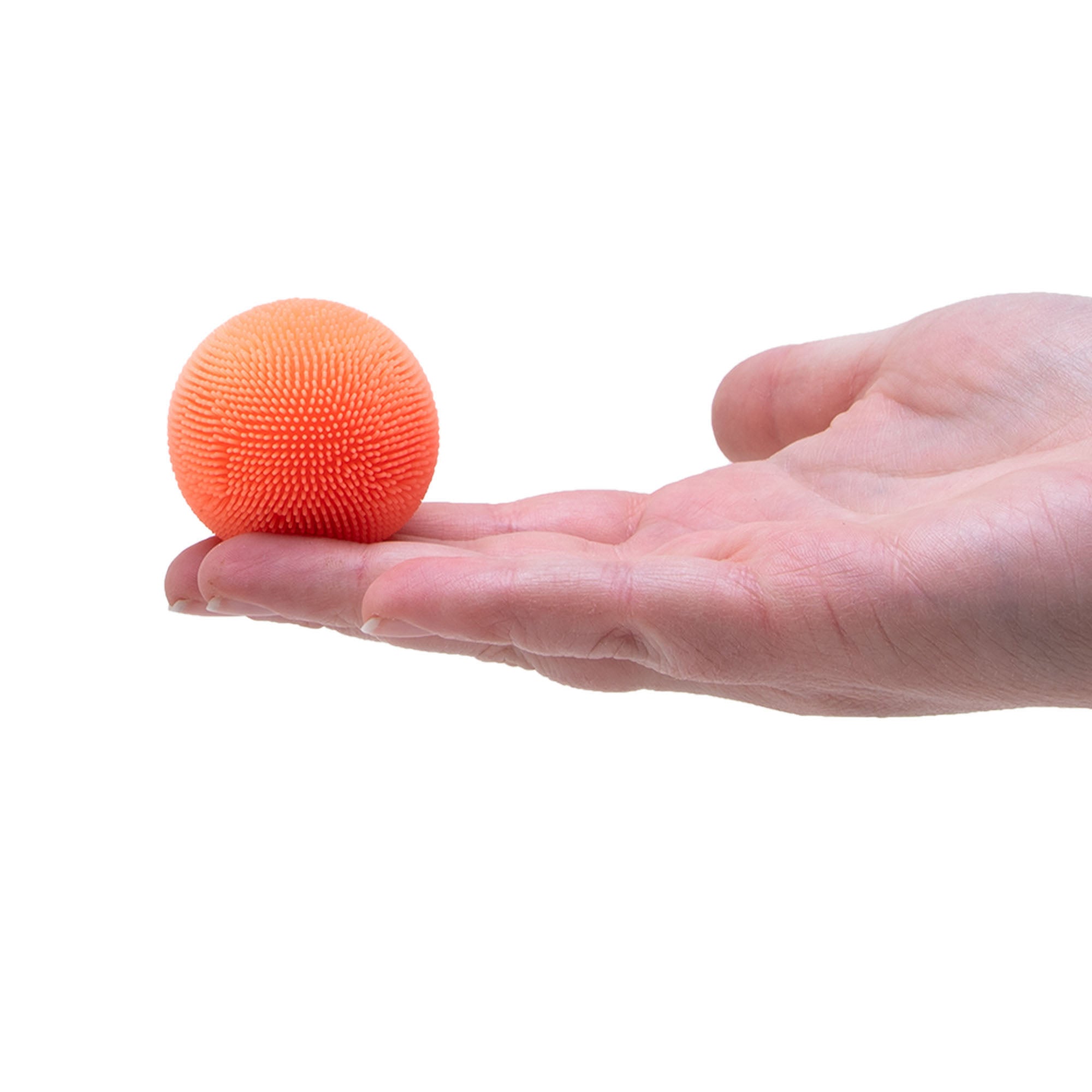 FZBTND_Image5